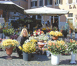 A flowers stand in Piazza Campo de' Fiori